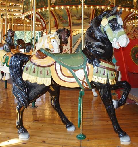 A person in a carousel
Description generated with high confidence