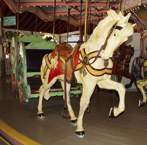 A picture containing indoor, table, dog, sitting

Description automatically generated