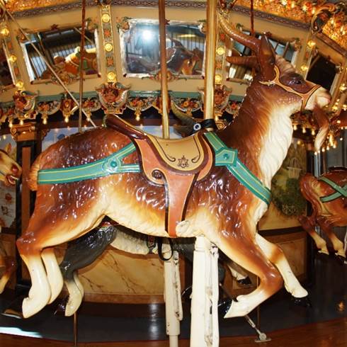 A picture containing indoor, floor, table, animal

Description automatically generated