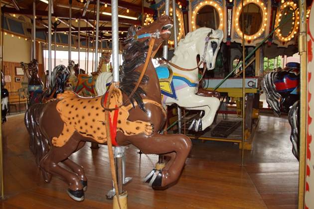 A close up of a carousel

Description automatically generated