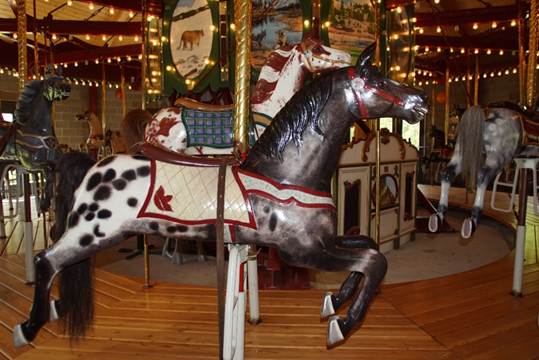 A picture containing carousel, ride, outdoor object, floor

Description automatically generated